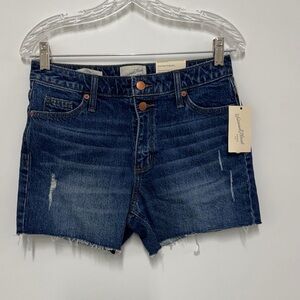 Universal Thread Indigo Jean Shorts